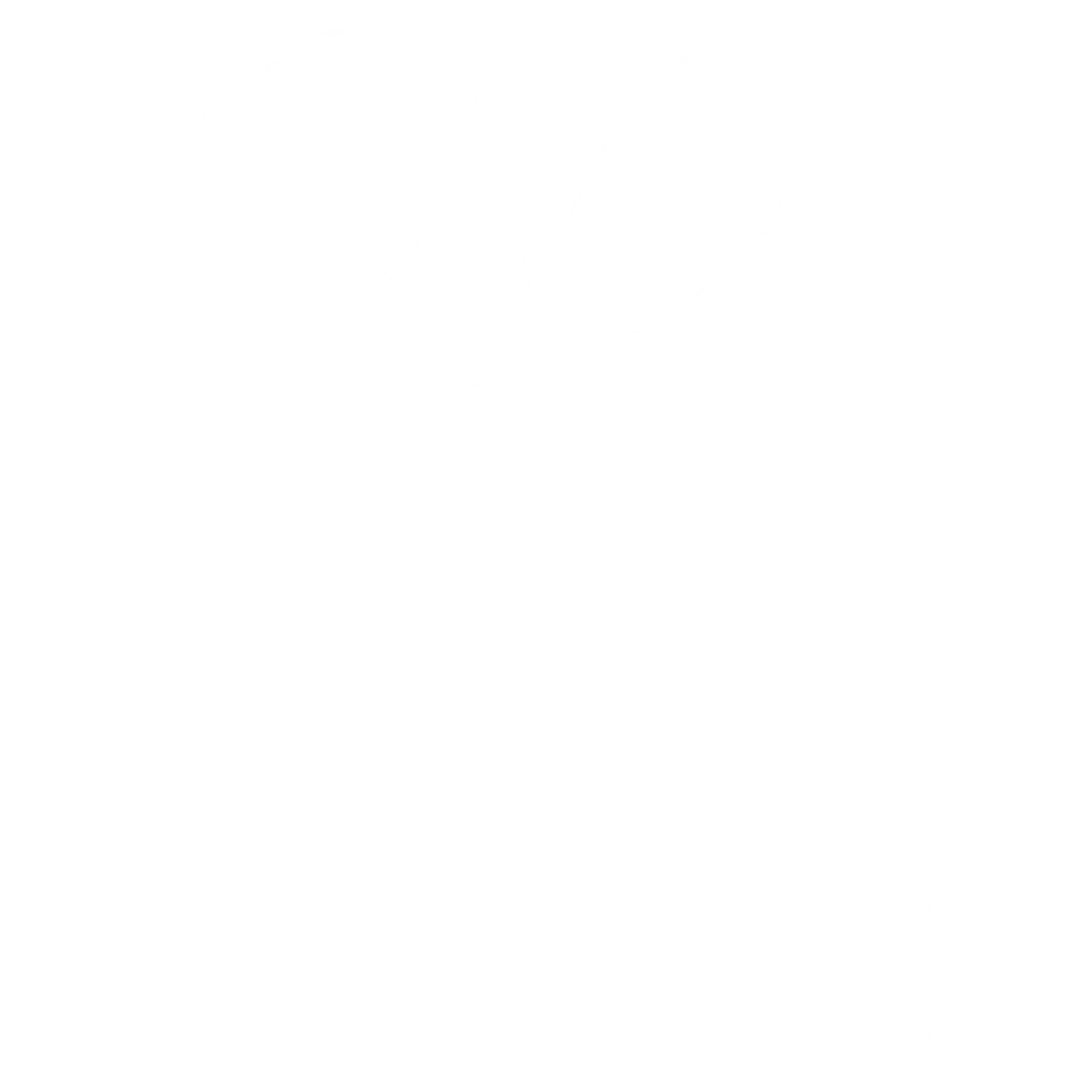 PROMO OMETOTO